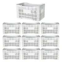 Caixa Plástica Gruplast Horti Frutti Branca 20kg  50L  10UN
