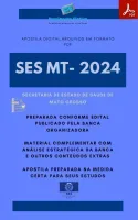 Apostila SES MT  Estatístico Ano 2024