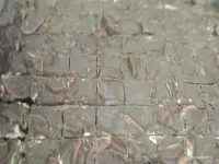 CORTADOR PARA  PALHA ITALIANA  36 BARRINHAS 6X6X2,5CM + LÂMINA - BID33/144  - KIT2 - Foto 3