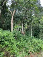 Vende-se terreno em Itatiaia /Ouro Branco - Foto 2