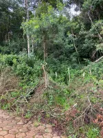 Vende-se terreno em Itatiaia /Ouro Branco - Foto 3