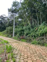 Vende-se terreno em Itatiaia /Ouro Branco - Foto 4