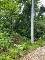 Vende-se terreno em Itatiaia /Ouro Branco - Foto 7