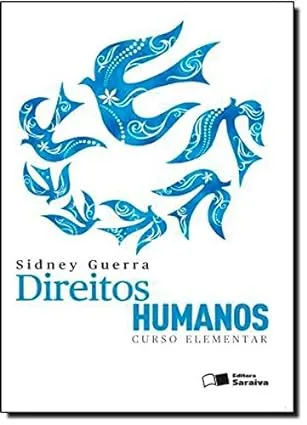 DIREITOS HUMANOS. CURSO ELEMENTAR (PRODUTO USADO - MUITO BOM)
