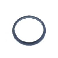 Guarnição P/ Bomba de Combustível Renalt Kwid 1.0 3c 