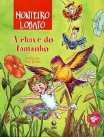 A CHAVE DO TAMANHO (PRODUTO USADO - BOM)