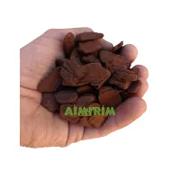 Casca de Pinus Polida PP - 10 Litros