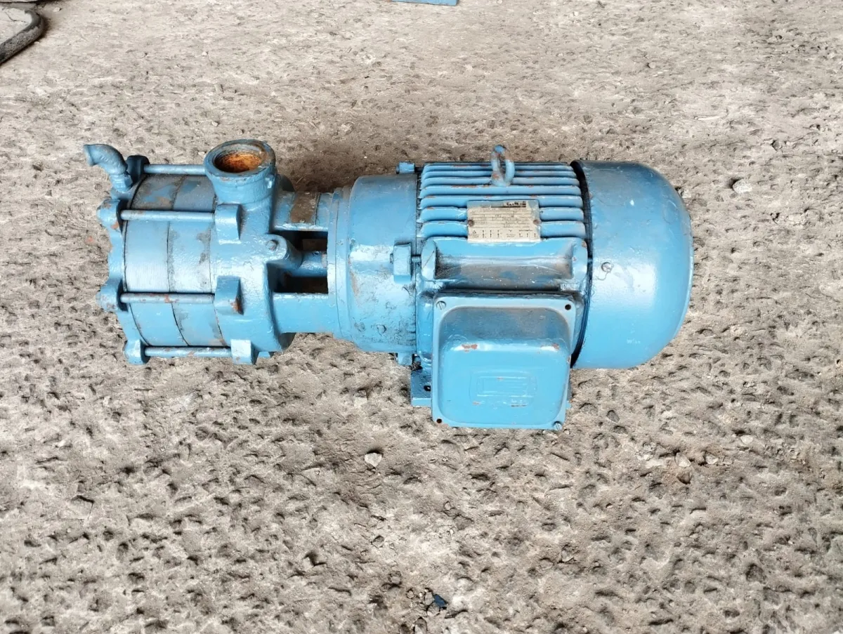 Bomba de estágio trifásica Eberle 7,5 CV Imagem