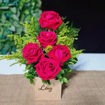 Box de Rosas Encanto - rosa vermelha