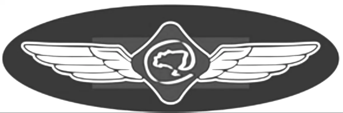 Brevê Senasp Bronze Descolorido Emborrachado Imagem