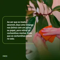 Forth Inseticida Eficaz Contra Insetos Pronto Uso 500 mL - Foto 2