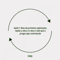 Forth Inseticida Eficaz Contra Insetos Pronto Uso 500 mL - Foto 4