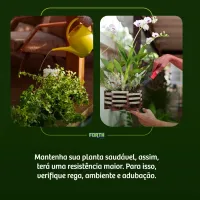 Óleo De Neem Pronto Para Uso Forth Cochonilhas 500 mL - Foto 4