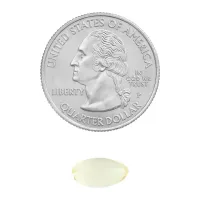 Vitamina A Spring Valley® 2400 Mcg 250 Softgels - Foto 3