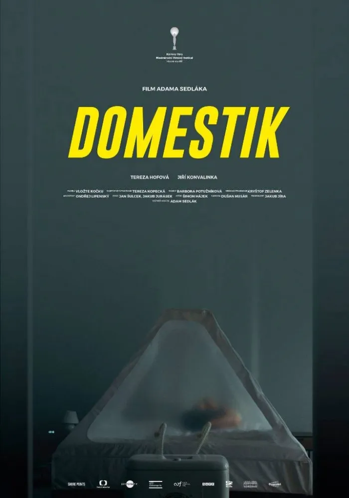 Domestik (2018) Adam Sedlák DVD - legendas em português