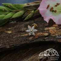 Labret em TITÂNIO PVD GOLD FLOR DE MARGARIDA com Pedras  945 - Foto 2