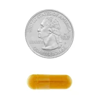 Turmeric Curcumin 500mg - 45 Un - Vegano Spring Valley Importado EUA + Frete Grátis - Foto 2