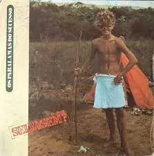 VINIL OS PARALAMAS DO SUCESSO SELVAGEM COM ENCARTE (PRODUTO USADO - MUITO BOM)