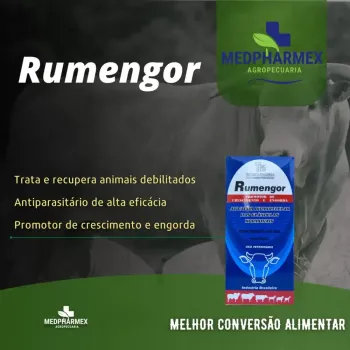 RUMENGOR
