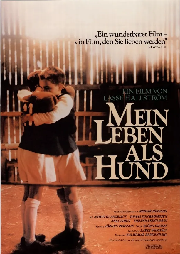 Minha Vida de Cachorro (1985) Lasse Hallström DVD - legendas em português