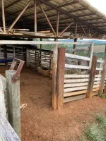 Vende-se belo sítio em Itaverava/MG - Foto 29