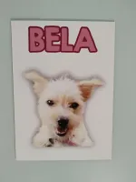 Quadro com foto Pet em MDF - Foto 2