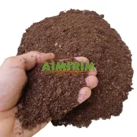 Turfa de sphagnum pura - 10 Litros - Foto 3