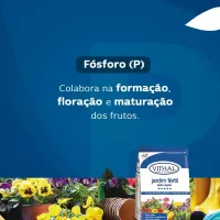 Fertilizante Jardim Fértil Efeito Rápido hortas jardins e frutíferas Vithal - 1 kg - Foto 3