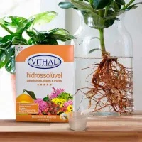 Fertilizante Hidrossolúvel Para Hortas Flores e Frutas Vithal - 400g - Foto 3