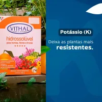 Fertilizante Hidrossolúvel Para Hortas Flores e Frutas Vithal - 400g - Foto 4
