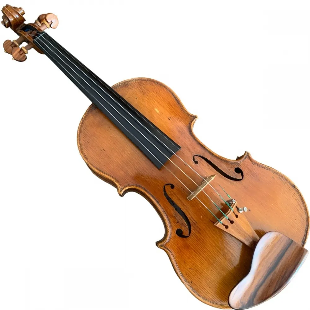 VIOLINO MARCOS PANDOLFI 2016