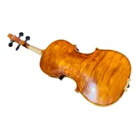 VIOLINO MILENA GOMES CORREA 2022 - Foto 6