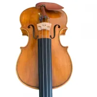 VIOLINO MILENA GOMES CORREA 2021 - Foto 3