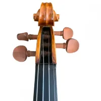 VIOLINO MILENA GOMES CORREA 2021 - Foto 6