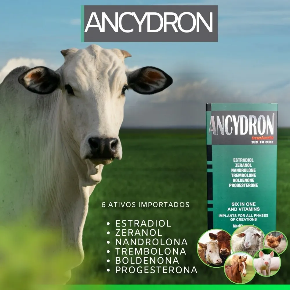ANCYDRON IMPLANTS  Imagem