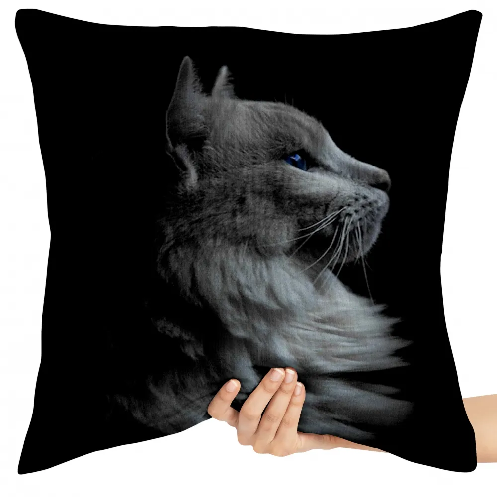 Almofada Gato branco olhando