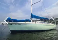 SAMOA 36 PÉS - ANO 2008 - Foto 2