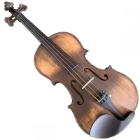 VIOLINO ATELIE JSC ANO 2024