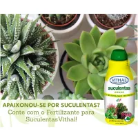 Fertilizante Líquido Para Suculentas Vithal 250ml - Foto 4