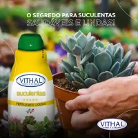 Fertilizante Líquido Para Suculentas Vithal 250ml - Foto 5
