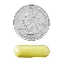 Quercetin Spring Valley 500mg Immune Support C/60caps Eua - Foto 7