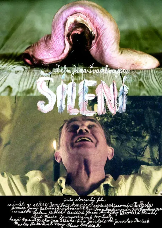 Insanidade (2005) Jan Svankmajer DVD - legendas em português Imagem