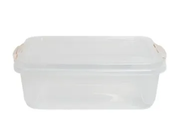 Caixa Organizadora 10L 0121 Rischioto