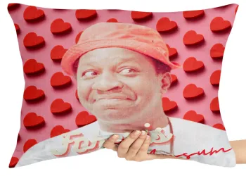 Capa de Almofada ou Travesseiro Mussum Forevis