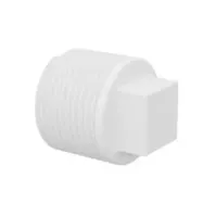 Plug Roscavel