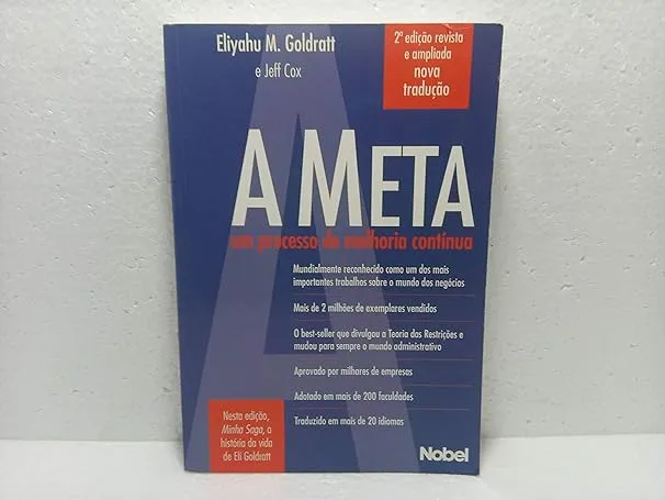 A META: UM PROCESSO DE MELHORIA CONTINUA (PRODUTO USADO - MUITO BOM)