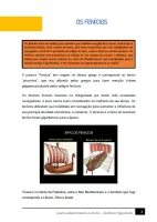 353 - História - As Primeiras Civilizações no Oriente Médio - Os Fenícios - 6º ano - PDF com 5 páginas - Foto 2