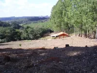 Vende-se linda Fazendinha  em São  Brás do Suaçuí/MG - Foto 3