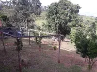 Vende-se linda Fazendinha  em São  Brás do Suaçuí/MG - Foto 11