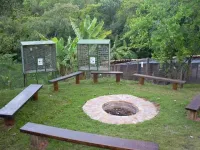 Vende-se linda Fazendinha  em São  Brás do Suaçuí/MG - Foto 16